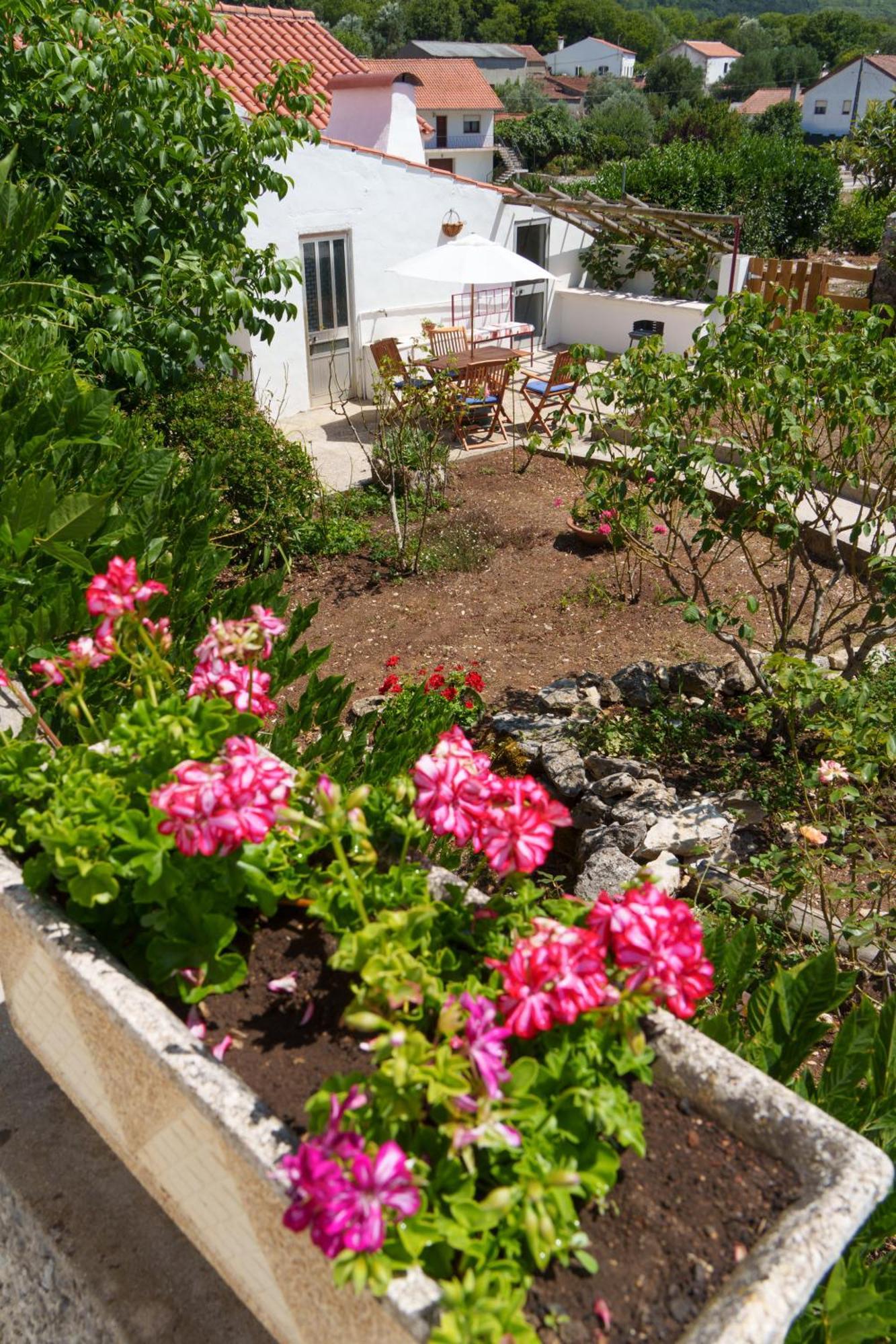 Casa Alba - Alvados Villa ภายนอก รูปภาพ
